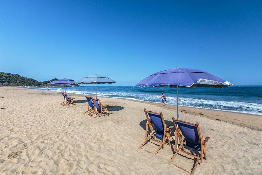 27 Unmissable Things to Do in San Pancho Nayarit Mexico