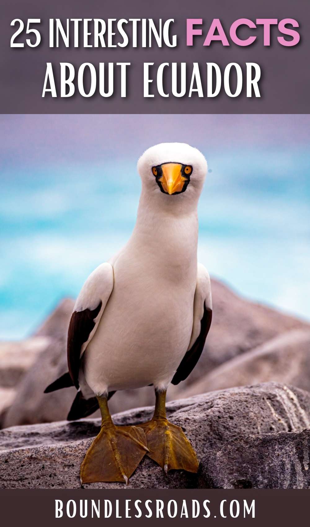 25 interesting facts about Ecuador