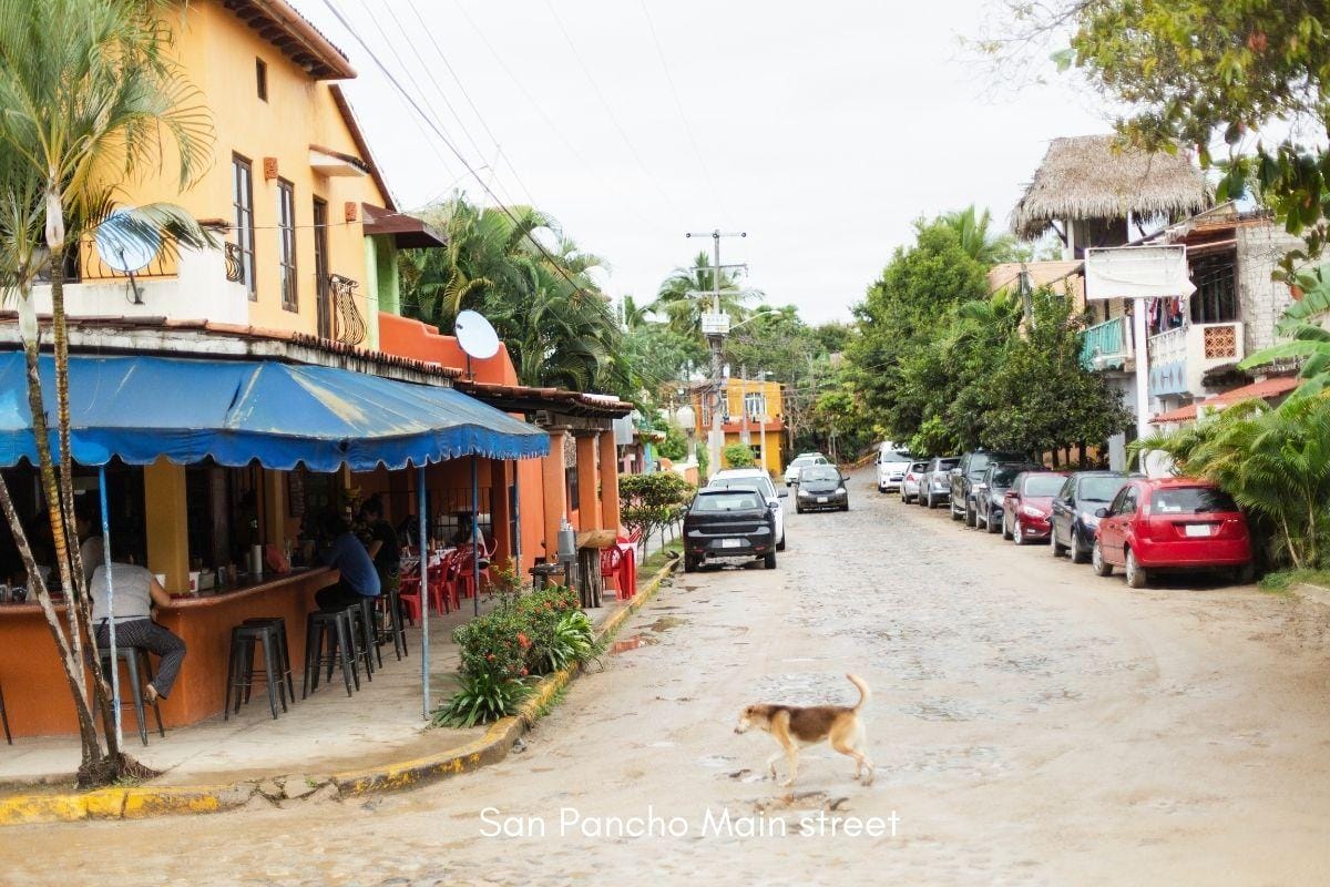 27 Unmissable Things to Do in San Pancho Nayarit Mexico