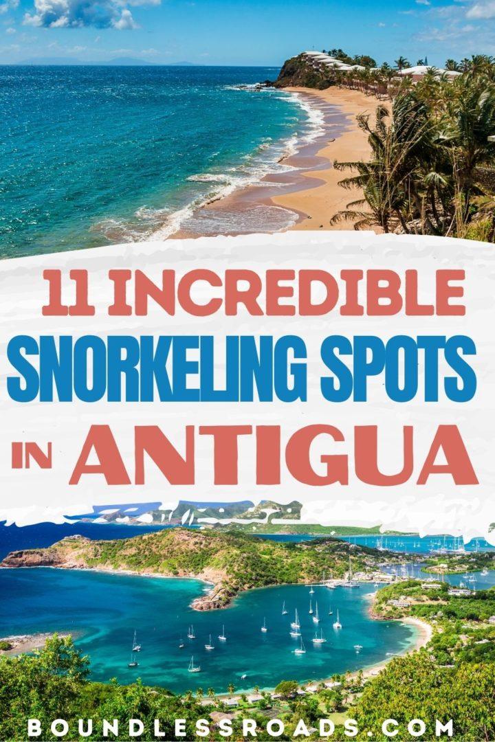 Where to Find the Best Snorkeling in Antigua 11 Amazing Spots