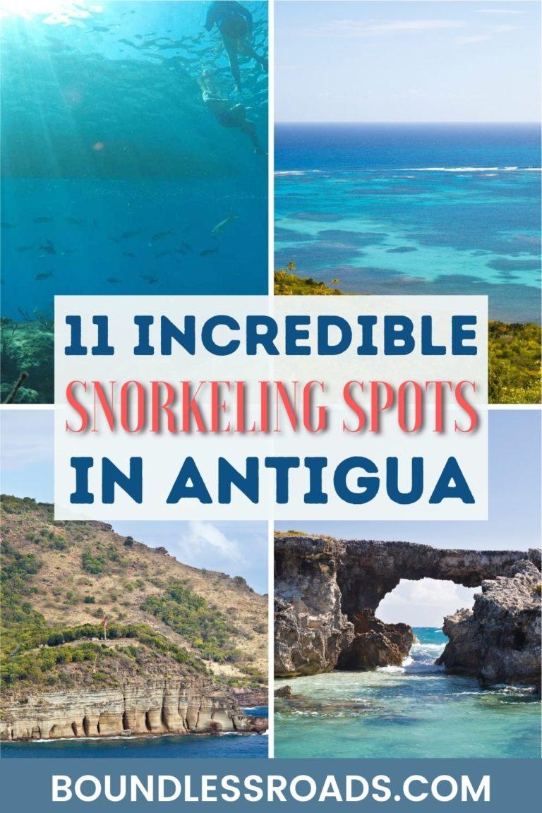 Where to Find the Best Snorkeling in Antigua 11 Amazing Spots