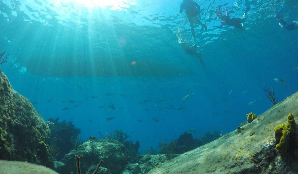 The Best Snorkeling in Antigua 11 Amazing Spots
