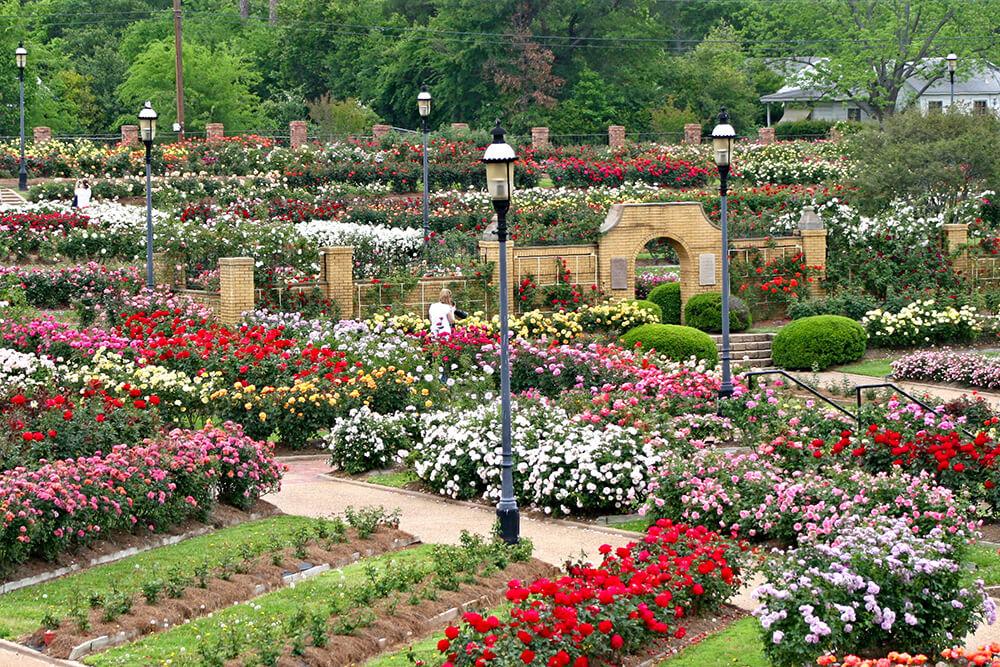 21 Incredible Things To Do in East Texas