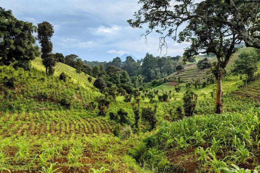 guatemala area natural