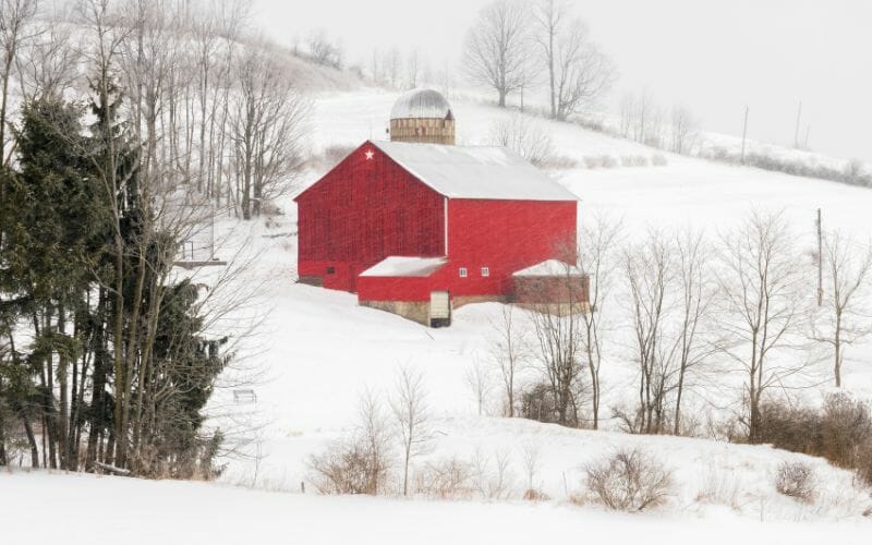 Does it snow in Maryland? All about winter in Maryland