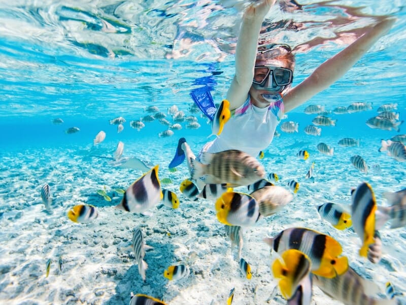 The Best Snorkeling In The Bahamas Includes Nassau And Freeport The Best Snorkeling In The Bahamas Includes Nassau And Freeport