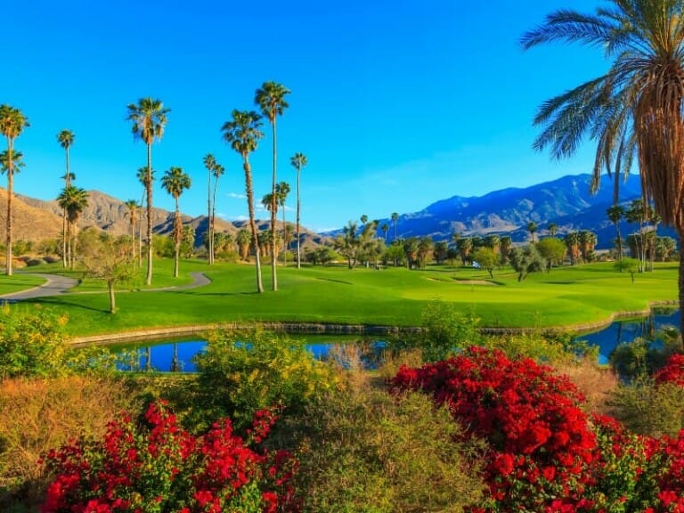 The 77 Most Instagrammable Spots in Palm Springs