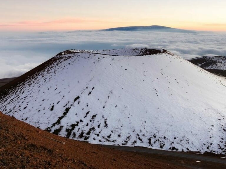 Are There Mosquitoes in Hawaii? Find out how to Avoid Them