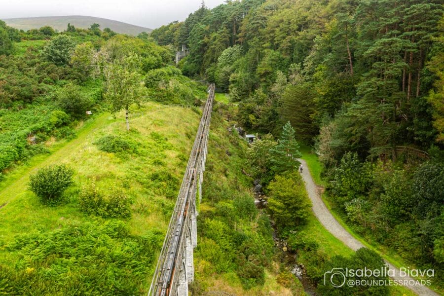 Lush green landscape with a narrow bridge, surrounded by dense trees and winding paths, under a cloudy sky. Peaceful and serene setting.